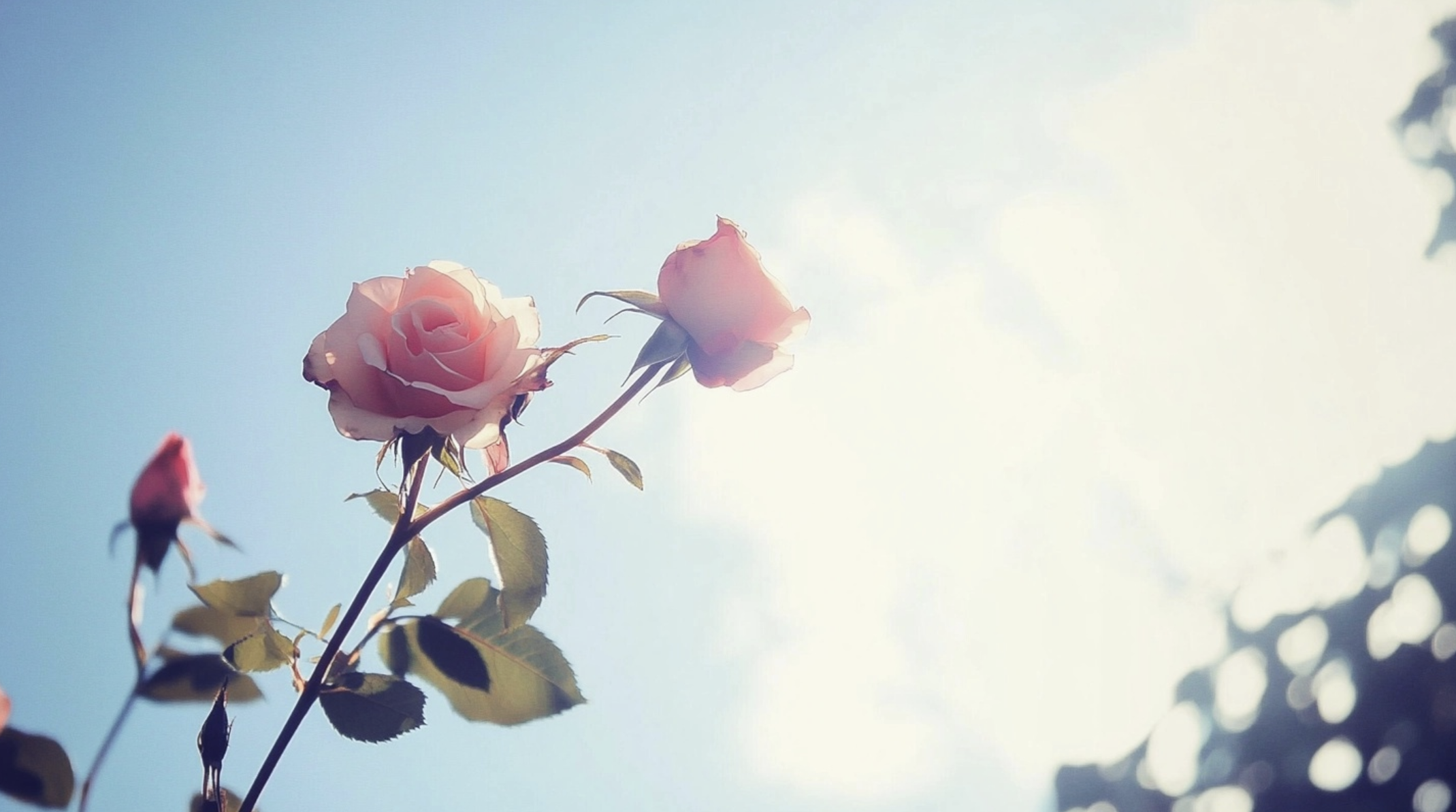 Kebiasaan Pagi yang Membuat Hari Lebih Lapang